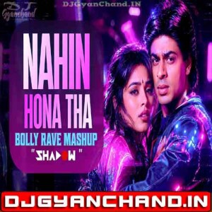 Nahin Hona Tha (Bolly Rave Remix) Ho Gaya Hai Mujhe Pyaar DJ Shadow Dubai